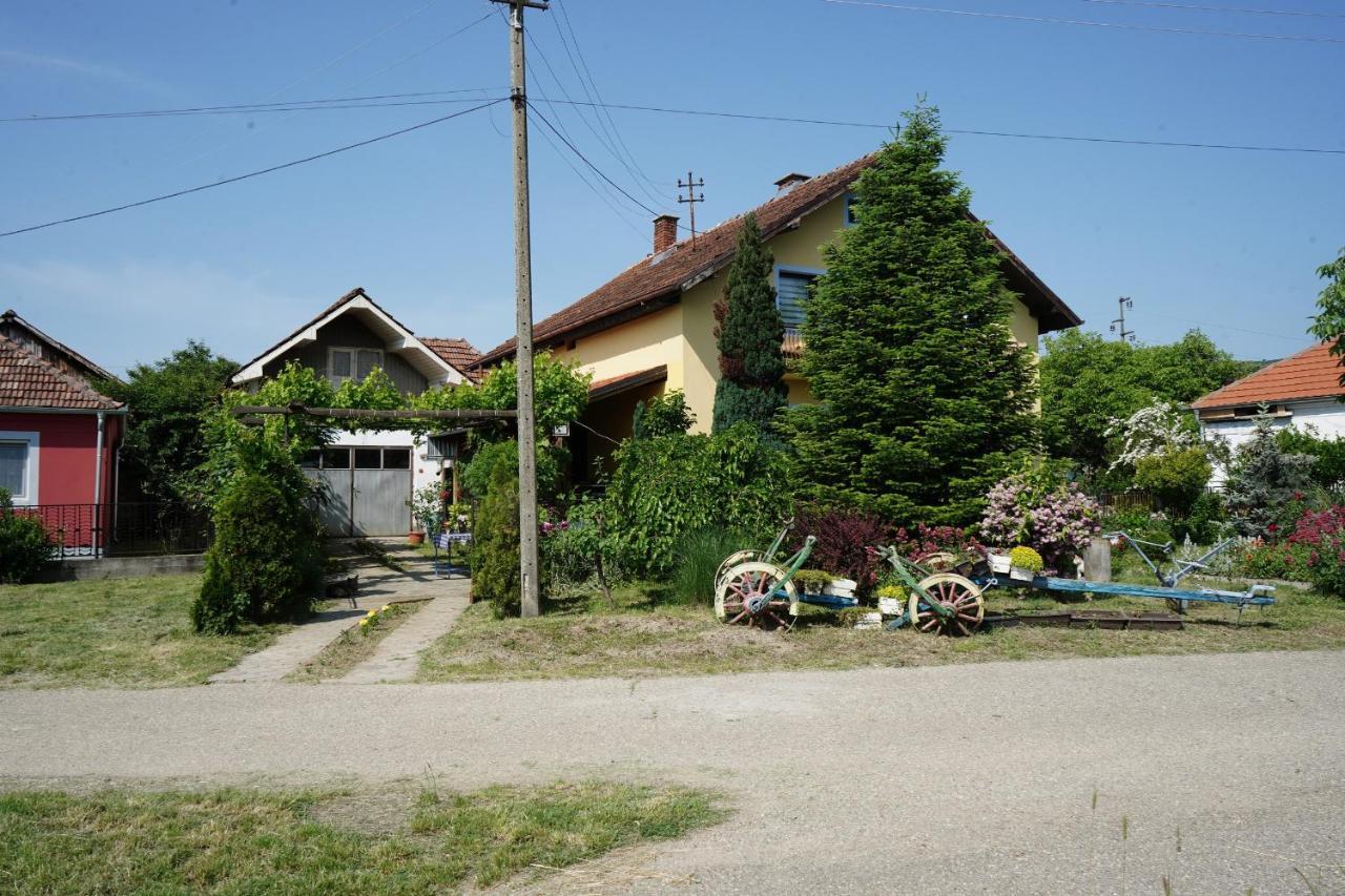 Novi SipEtnobubi公寓 外观 照片